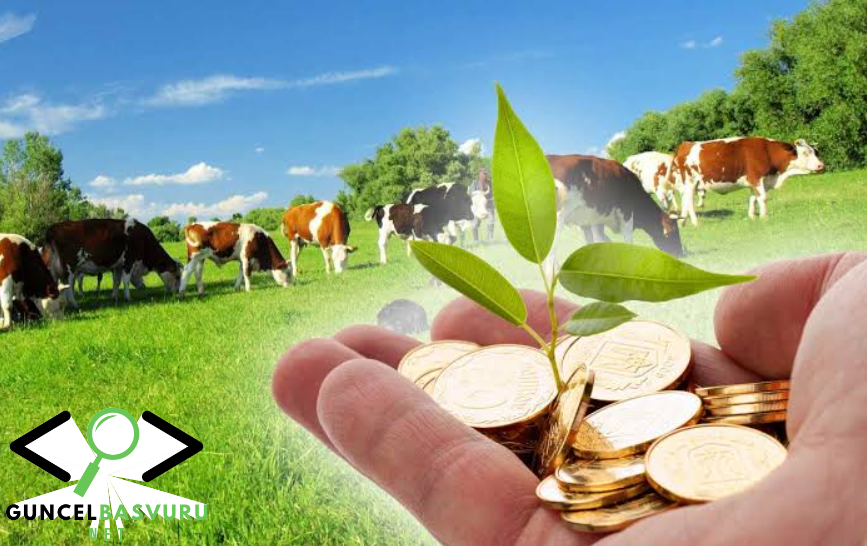 2025 Hayvancılık Hibe ve Kredi Desteği Başvurusu Nasıl Yapılır?